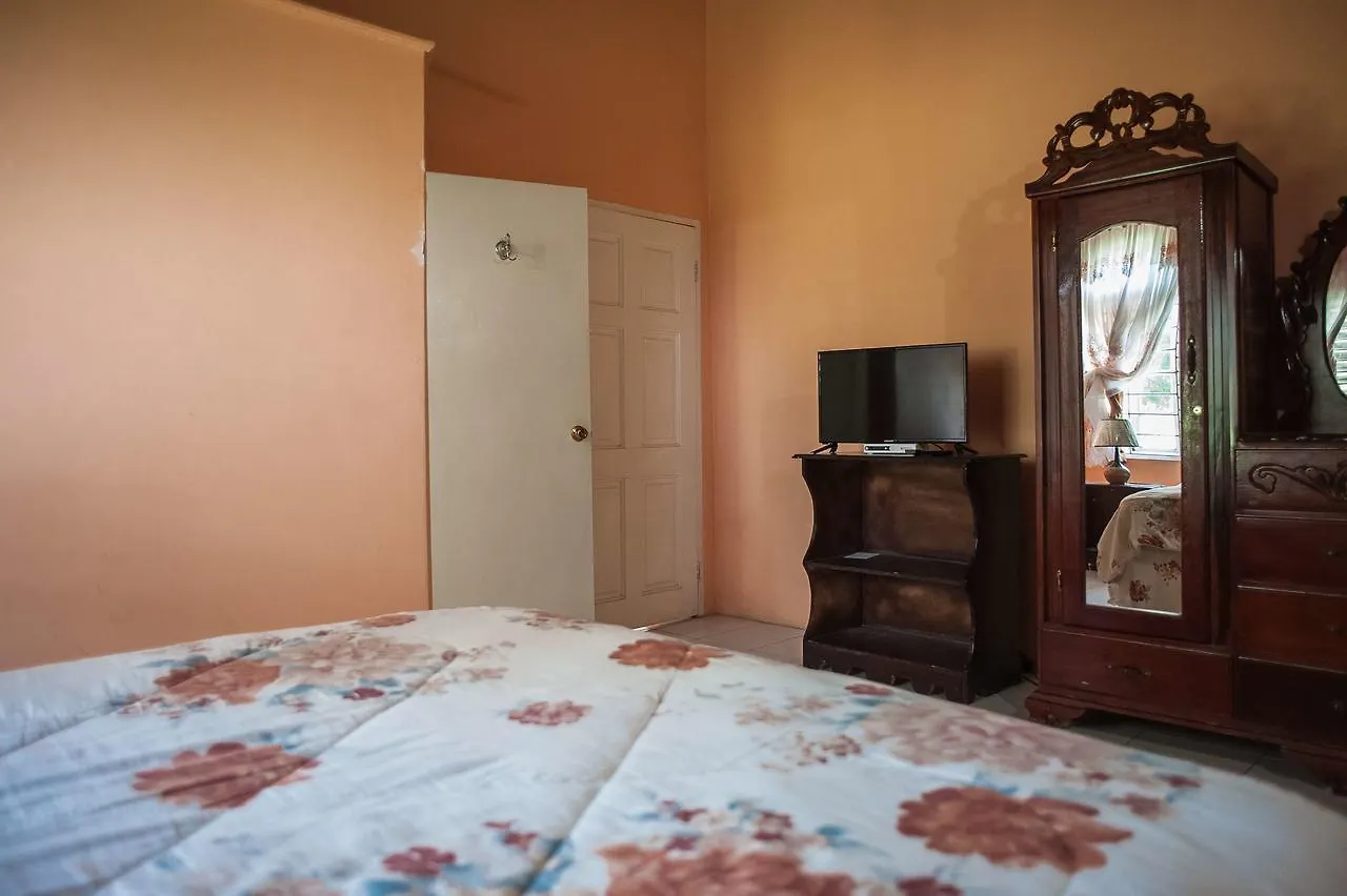Diamond Villa Guest House Montego Bay 0*,